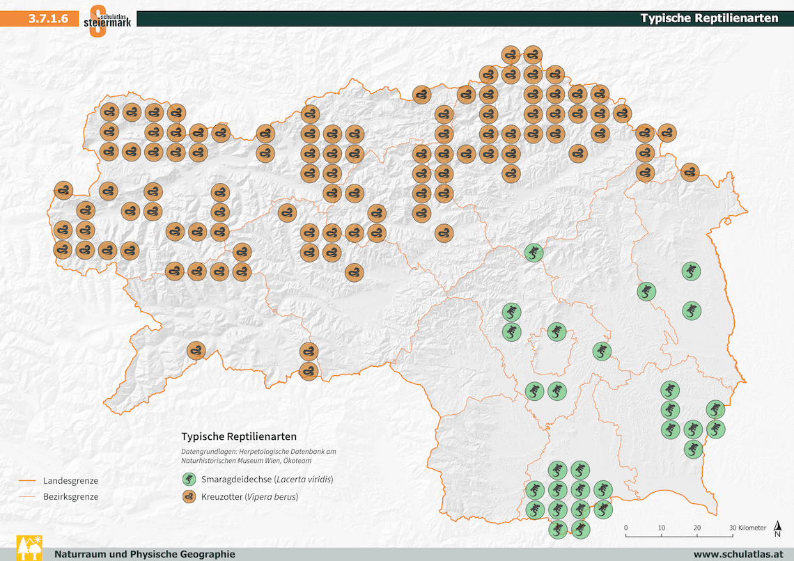 Typische Reptilienarten