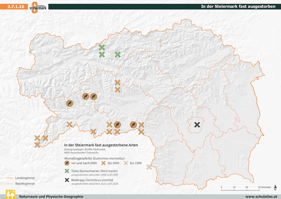 In der Steiermark fast ausgestorben