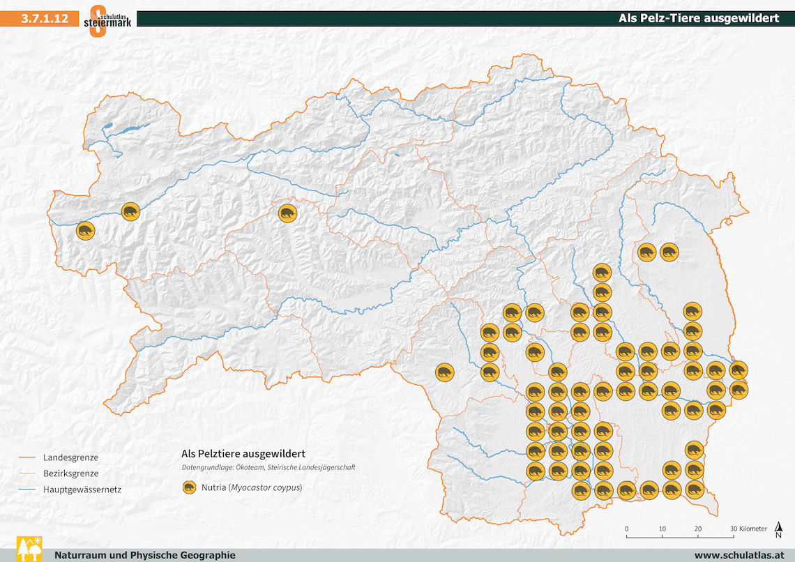 Als Pelz-Tiere ausgewildert