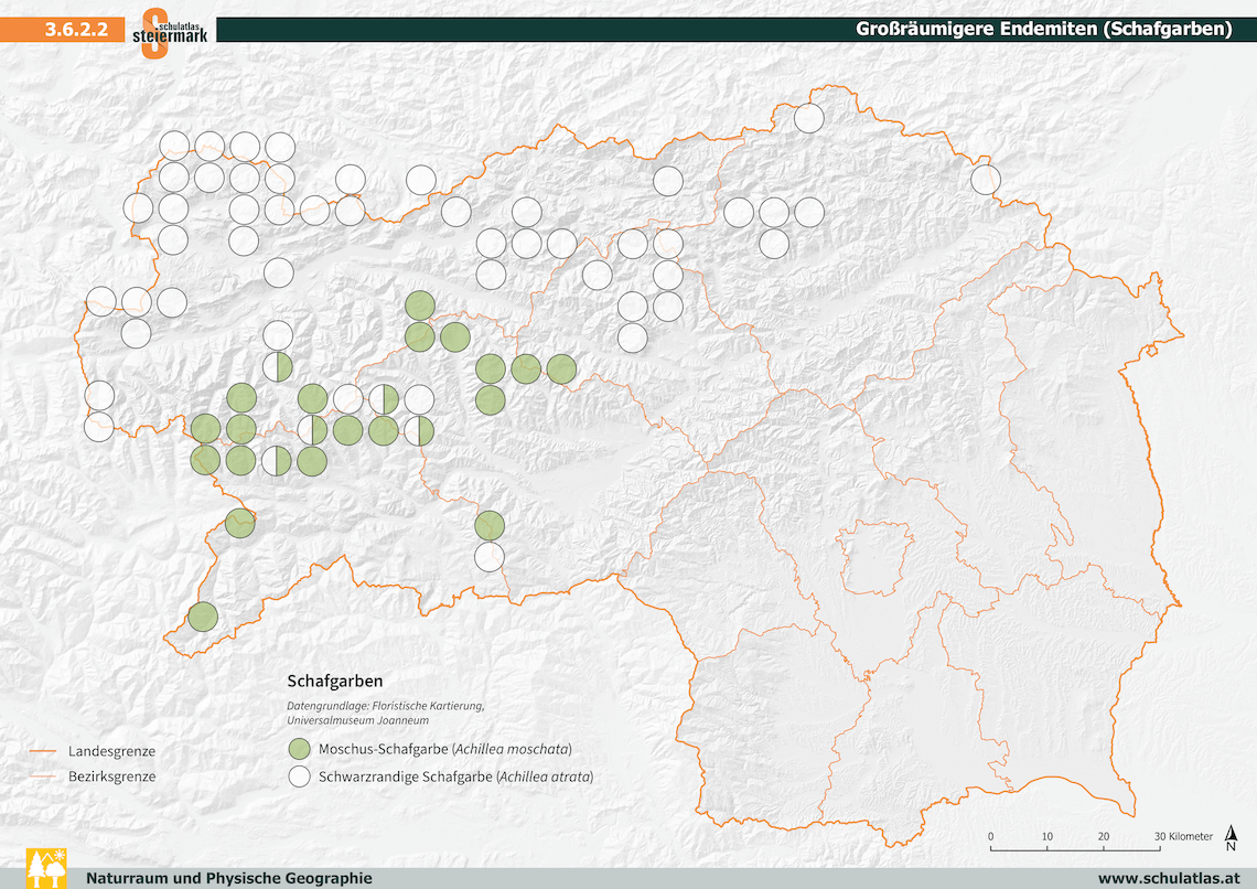 Großräumigere Endemiten