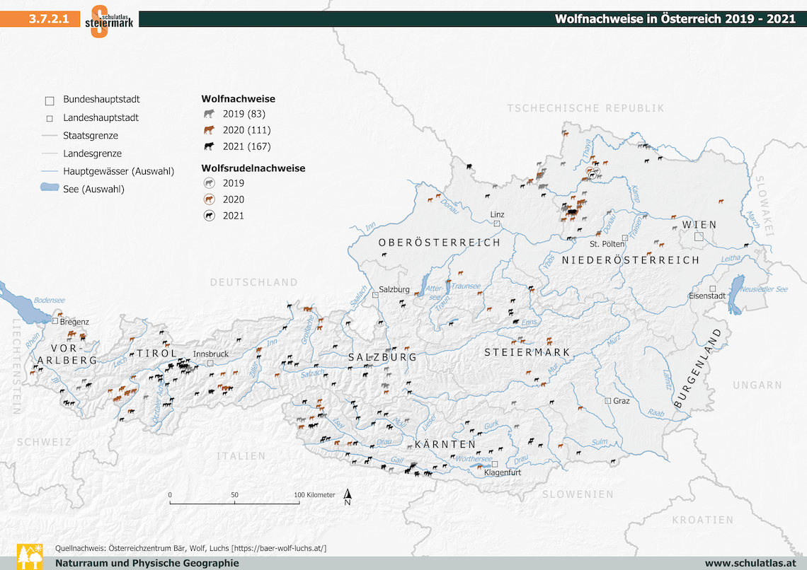 Der Wolf in Österreich